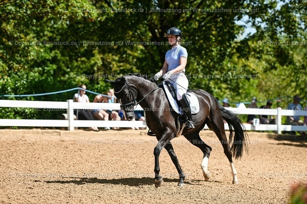 20230715_02_Dressurreiterprüfung Kl.L_0020 | equistock
