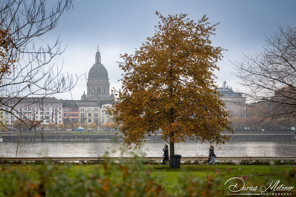 DSC_4363 2 | Fotografien, Fotos und Bilder aus Mainz, Frankfurt, Wiesbaden und anderen Orten auf der Welt - Fotografiert von Darius Metzner