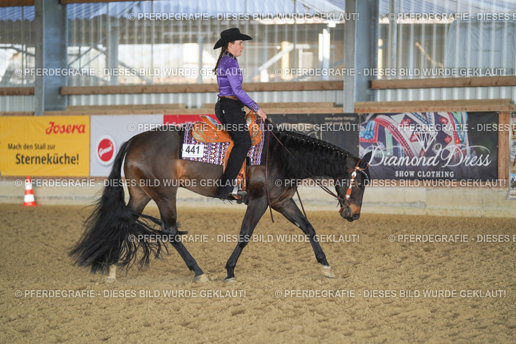 DSC08983 | Pferdegrafie