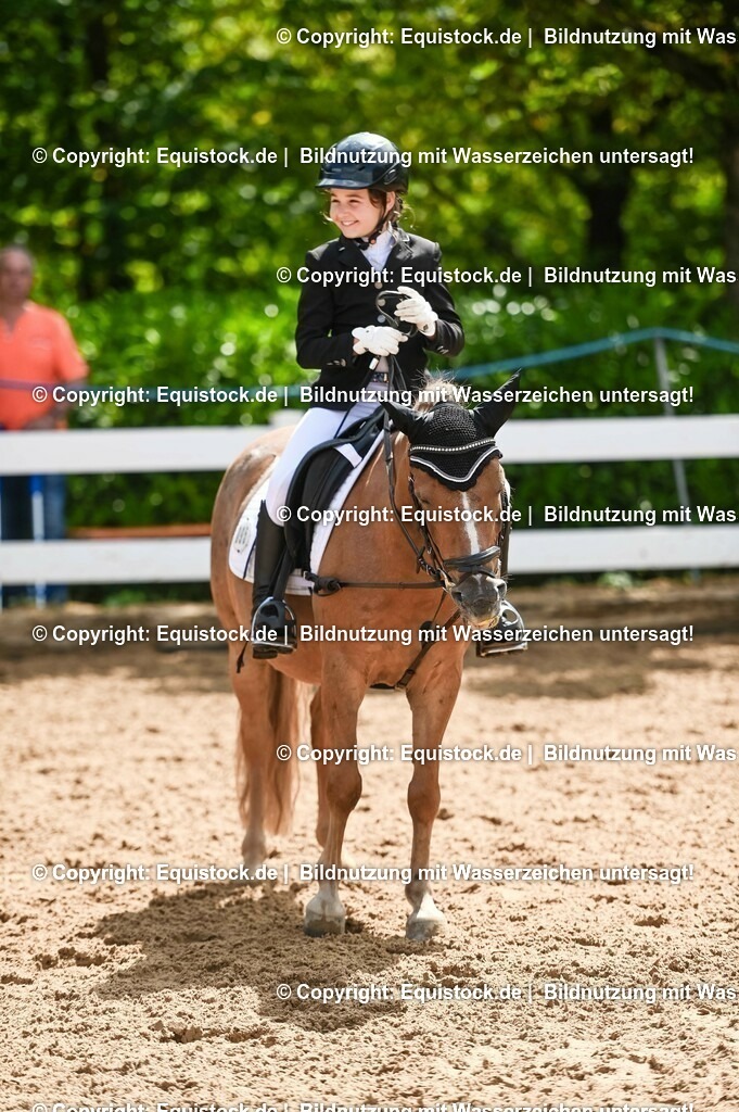 20230716_10-3_Reiter-WB Schritt - Trab - Galopp_0191 | equistock