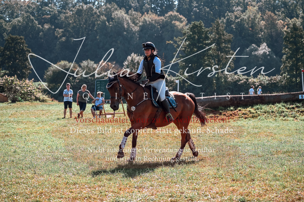 DSC_0728 | Pferde- und Turnierfotografie in Westsachsen. Pferdeportraits, Auftragszeichnungen und intuitive Kunst.