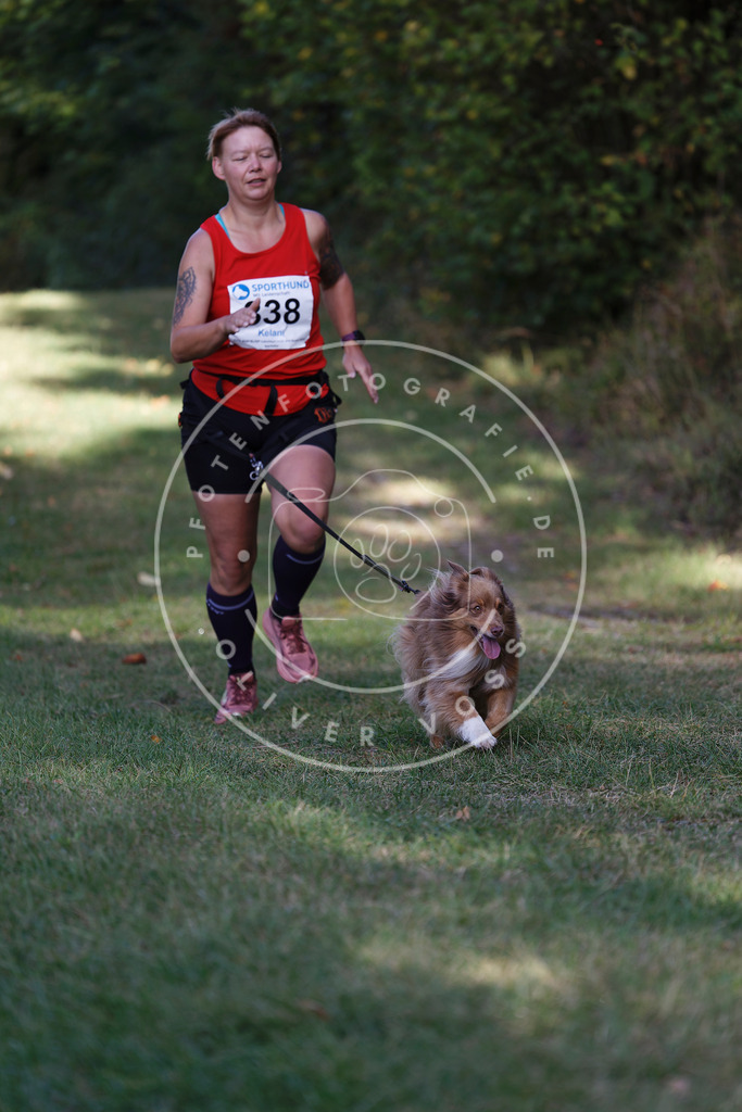 0L8A5246 | Hundefotografie, Tierfotograf, Pfotenfotografie, Fotoshooting Hund, Hunde Portrait, Hundesport, Hundeportraits, Heideshooting, Hunde, Sportfotograf, Hundefotograf, Turnierhundsport, THS,  - Realisiert mit Pictrs.com