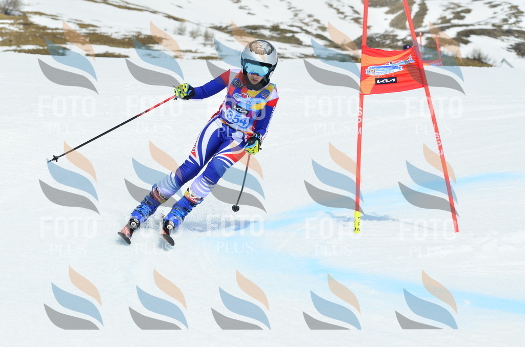 _ELE2734 | holidayphoto