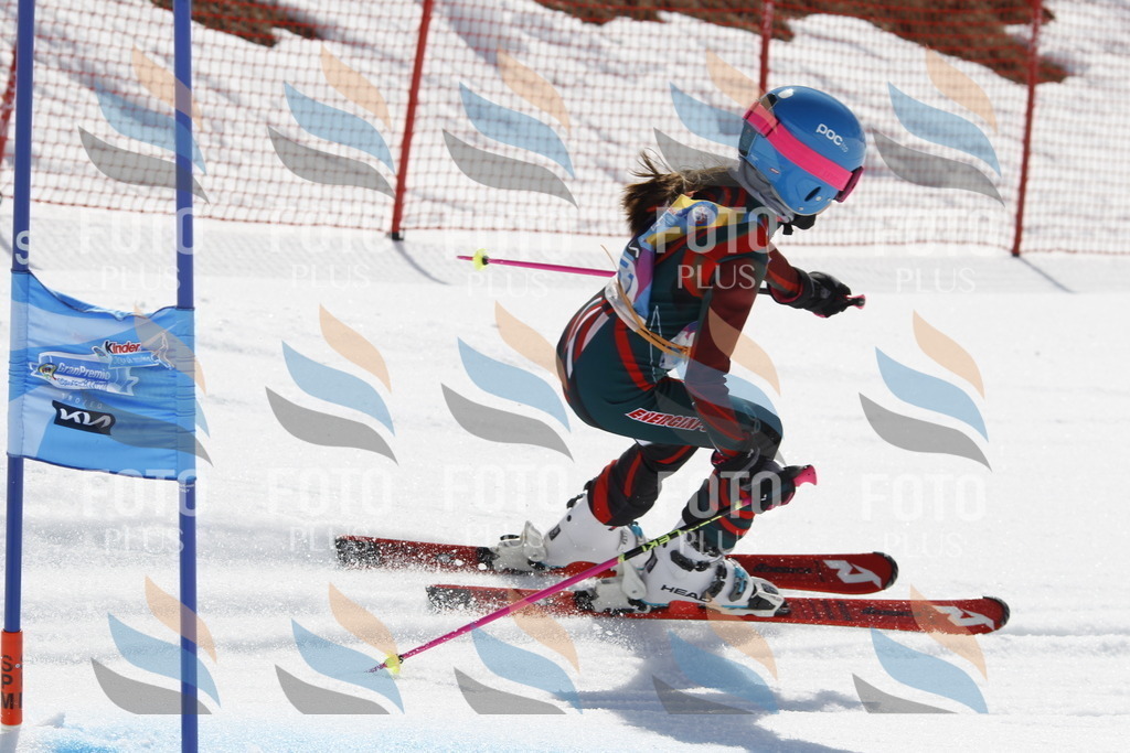 _U3G1254 | holidayphoto