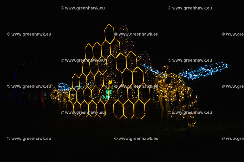 _MG_0216 | Greenhawks Bilder Shop für Landschaften, Urban, Tiere und weiteres als Poster Leinwand oder Fotogeschenk für Ostern Weihnachten oder Geburtstag  - Realisiert mit Pictrs.com