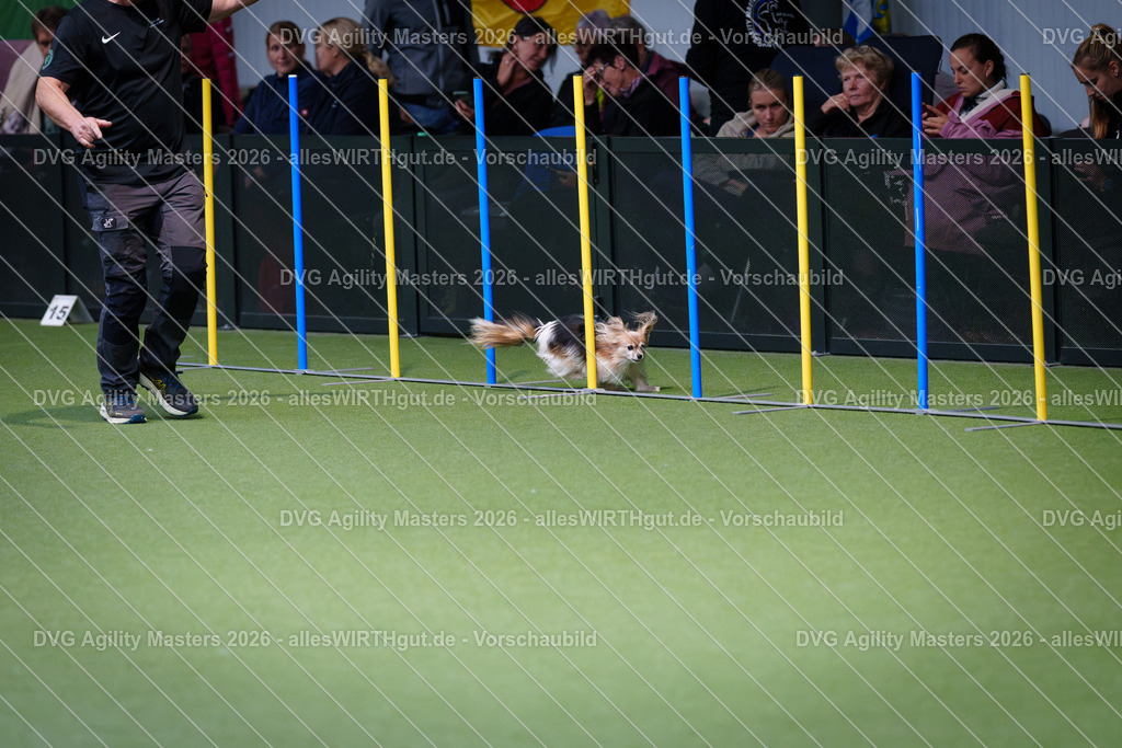 allesWIRTHgut_Tierfotografie-DVG_Agility_Masters_2026-12_15-7R507723 | Professionelle Tierfotografie in Mönchengladbach von Daniel Wirth (allesWIRTHgut). Liebevolle & natürliche Bilder von Hunden & Katzen für unvergessliche Erinnerungen.
