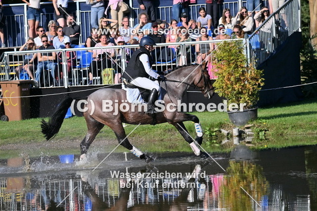 769_5151 | Björn Schroeder Pferdefotografie