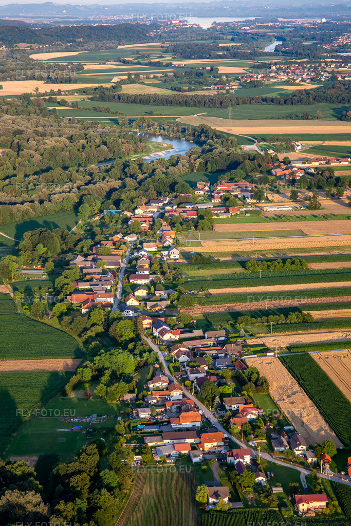 Vue aérienne: Village linéaire sur la rivière Drave à Starše dans le département Slovénie, Slovénie. Photo: IMG_137403.jpg prise le 08/07/2023 par Werner Riehm/FLY-FOTO.eu – Résolution de l'original: 3648 x 5472 px