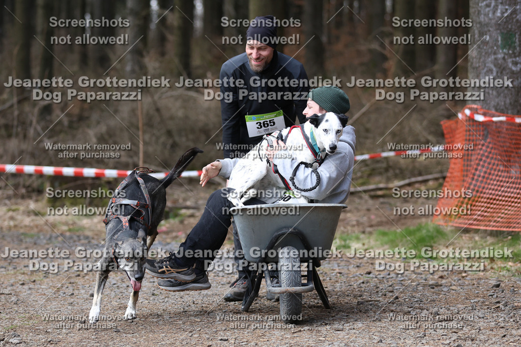 Dog Paparazzi - VCC26-733 | Dog Paparazzi Jeanette Grottendiek Fotografie & Videografie - Realisiert mit Pictrs.com