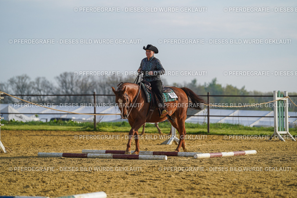 DSC00599 | Pferdegrafie