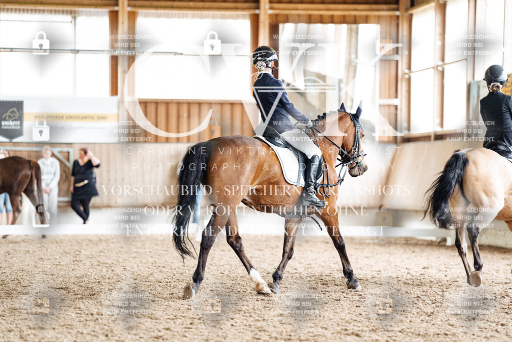 CK901584 | Turnierfotografie Pferdefotografie Trier Rheinland-Pfalz Pferdesport Reitsport Tierfotografie Sportfotografie Pferdevideo Pferdevideografie Equestrianvideography equestrianphotography  - Realisiert mit Pictrs.com