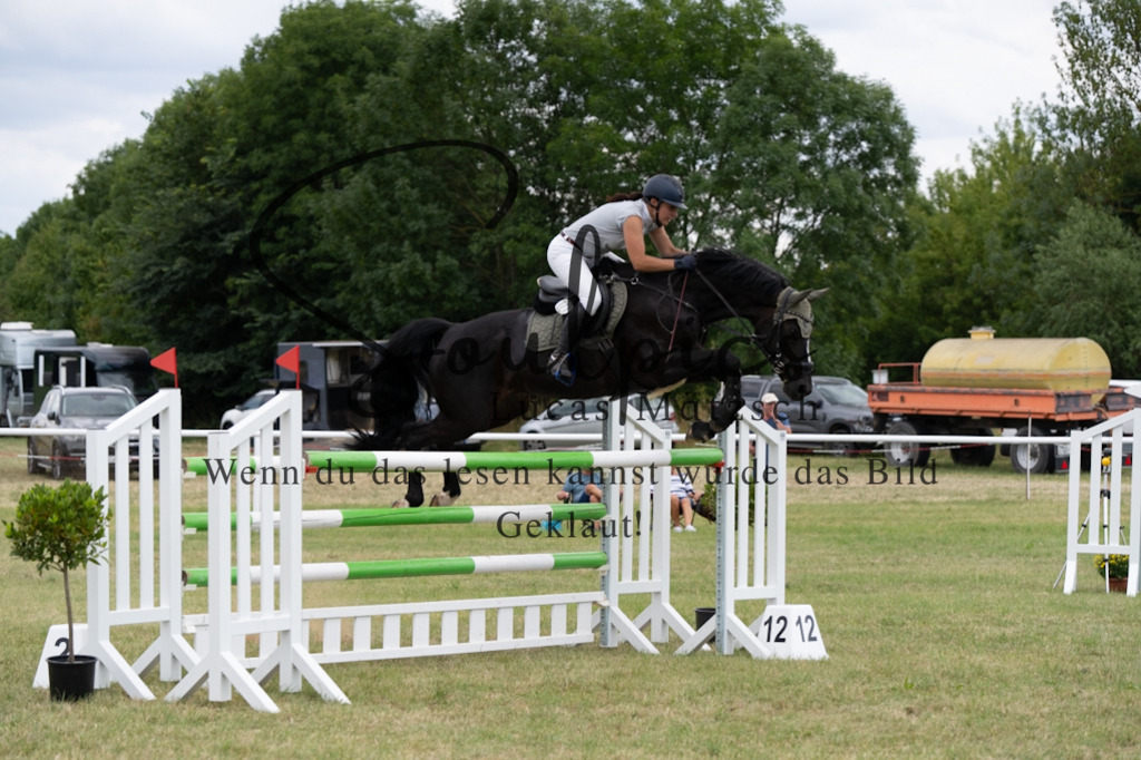 A7V02171 | Pferdefotograf