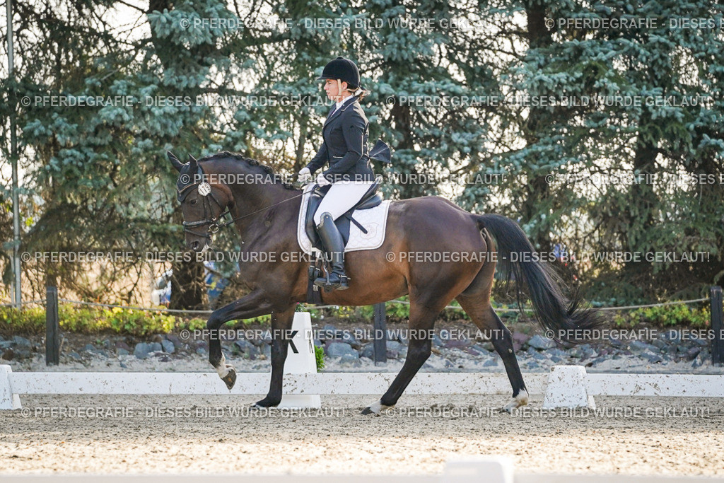 DSC08050 | Pferdegrafie