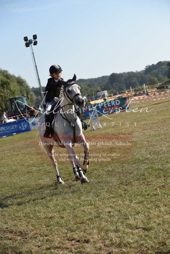 DSC_5720 | Pferde- und Turnierfotografie in Westsachsen. Pferdeportraits, Auftragszeichnungen und intuitive Kunst.