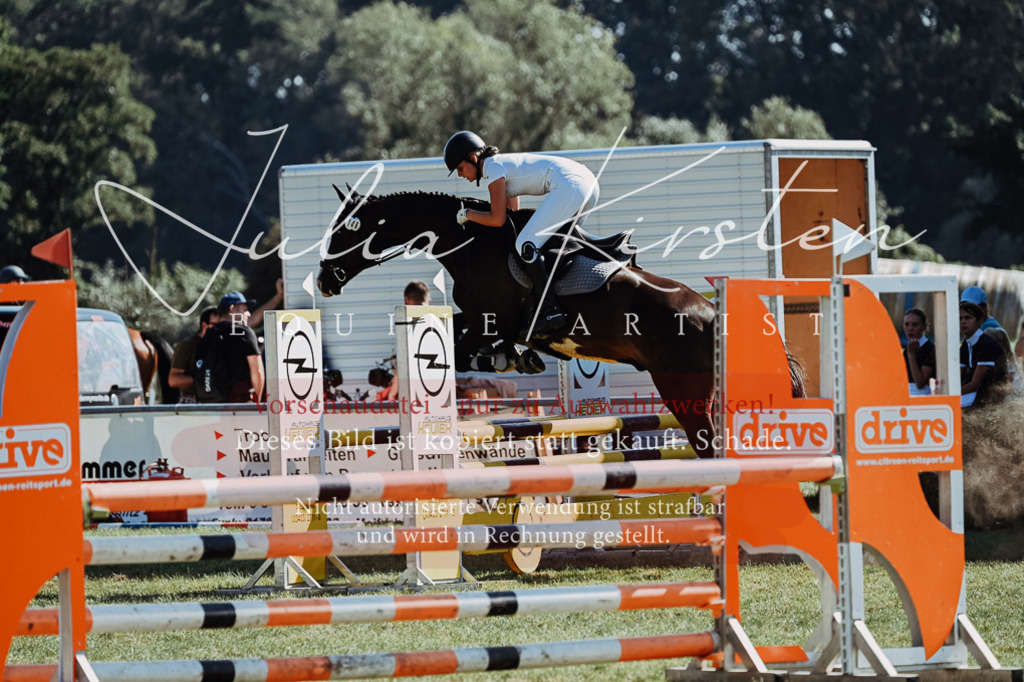 DSC_5901 | Pferde- und Turnierfotografie in Westsachsen. Pferdeportraits, Auftragszeichnungen und intuitive Kunst.