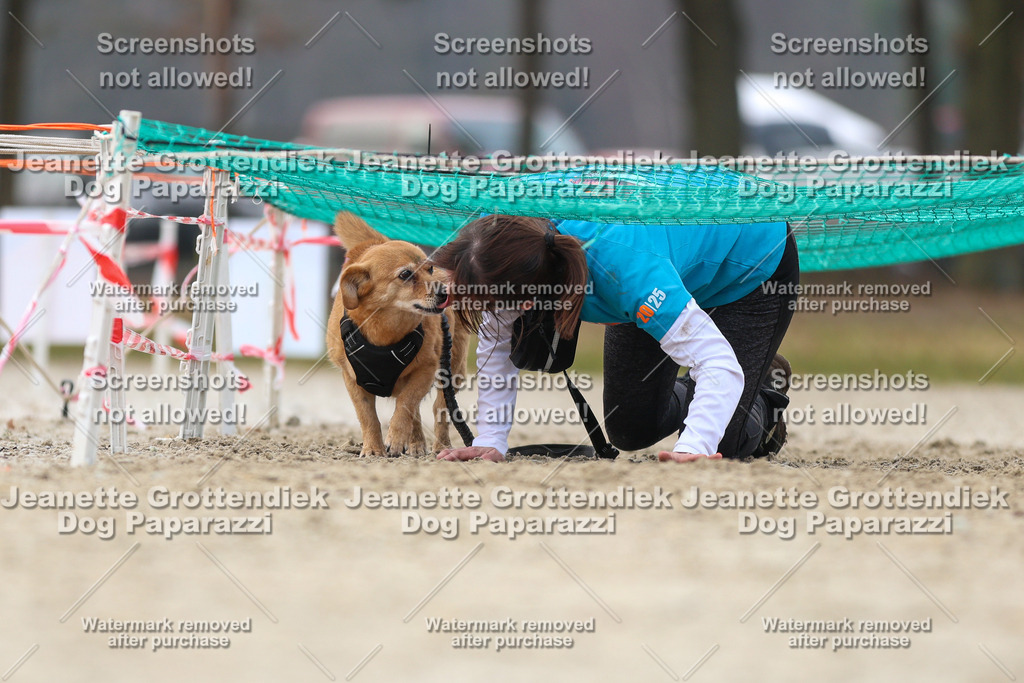 Dog Paparazzi - Strongdog North Mrz26-4573 | Dog Paparazzi Jeanette Grottendiek Fotografie & Videografie - Realisiert mit Pictrs.com