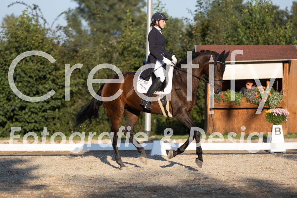 IMG_1537 | Creatify Fotografie