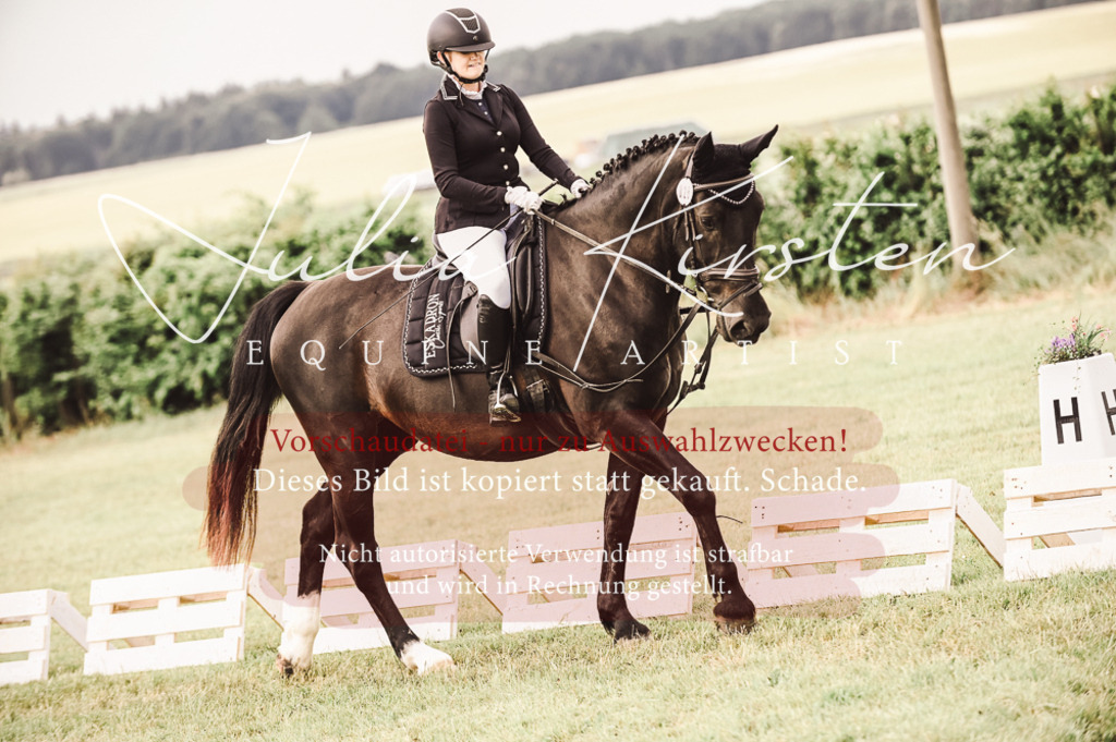 DSC_4882 | Pferde- und Turnierfotografie in Westsachsen. Pferdeportraits, Auftragszeichnungen und intuitive Kunst.