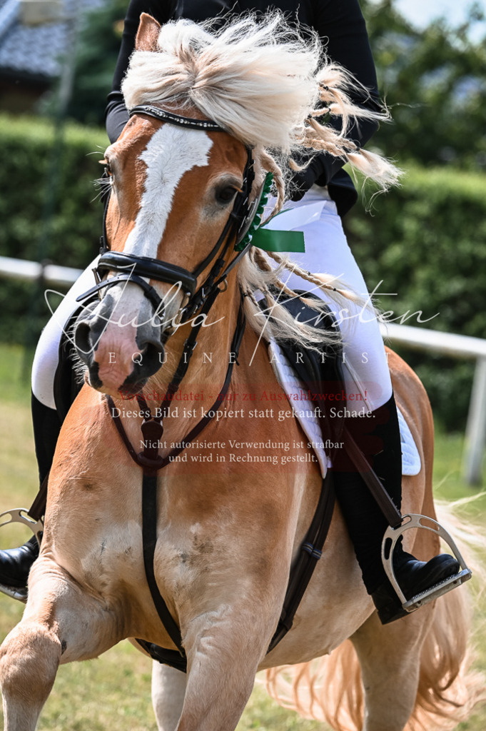 DSC_8639 | Pferde- und Turnierfotografie in Westsachsen. Pferdeportraits, Auftragszeichnungen und intuitive Kunst.