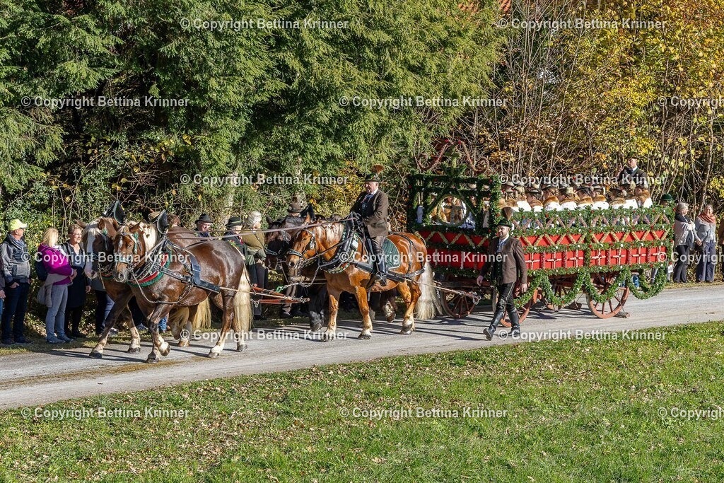 LBT25-732 | foto-bettina-krinner - Realisiert mit Pictrs.com