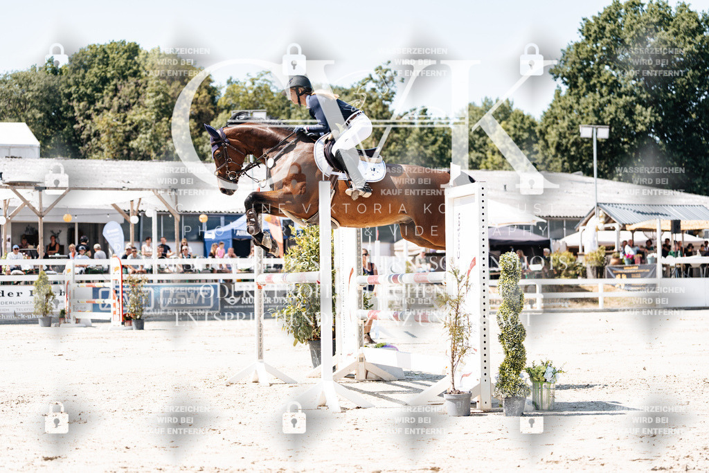 CK909580 | Turnierfotografie Pferdefotografie Trier Rheinland-Pfalz Pferdesport Reitsport Tierfotografie Sportfotografie Pferdevideo Pferdevideografie Equestrianvideography equestrianphotography  - Realisiert mit Pictrs.com