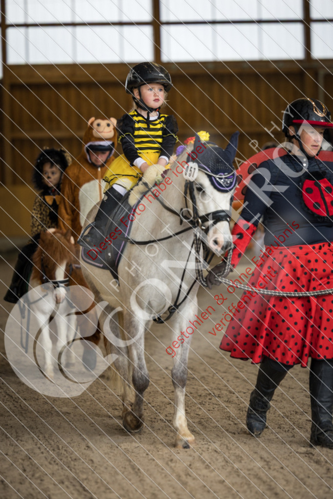 IMG_1941 | Sport-, Event- und Tierfotos in Profiqualität. Einfach auswählen, bestellen und herunterladen. Dein Moment – perfekt festgehalten.