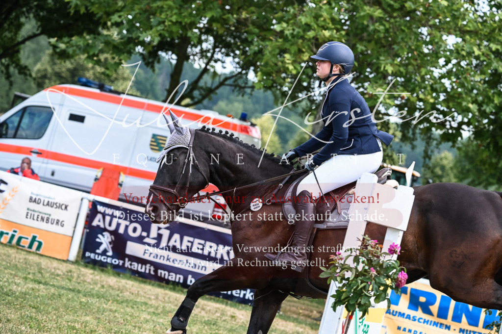DSC_8129 | Pferde- und Turnierfotografie in Westsachsen. Pferdeportraits, Auftragszeichnungen und intuitive Kunst.