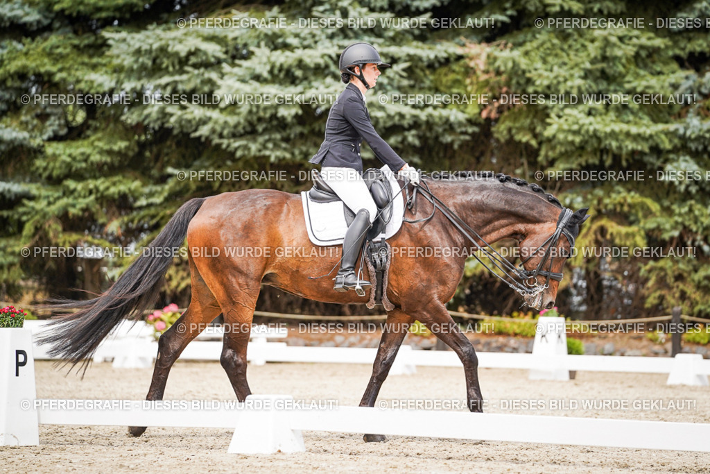 DSC05821 | Pferdegrafie