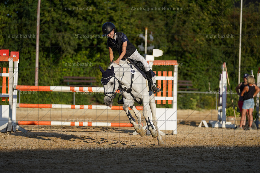 20240824-FAH08839 | Thierhaupten 2024, Bayerisches Landesponyturnier, Turnierbilder, Ponybilder, Turnierfotografen Bayern, Fotoagentur Herrmann