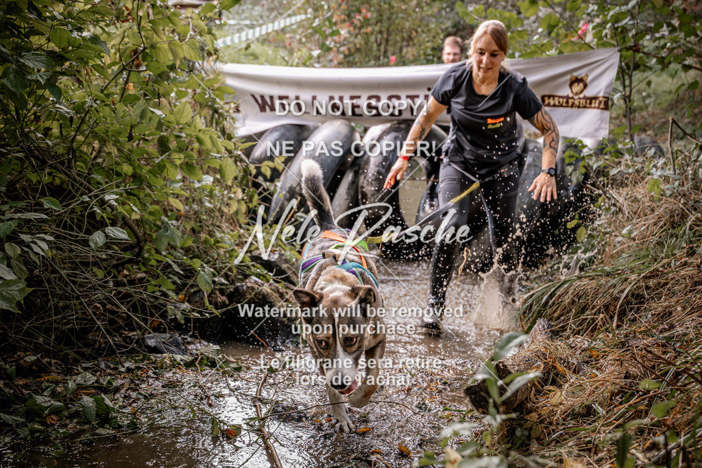 nelerasche_Hunsrück2026_Sa1400-1500_185 | nelerasche