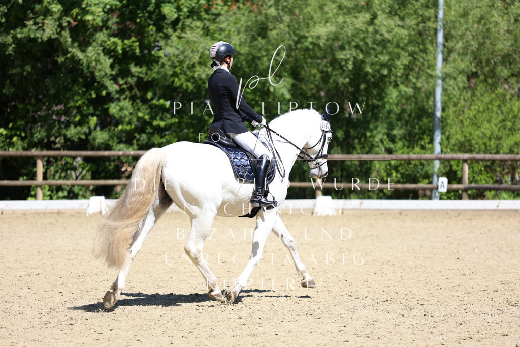 IMGS1480 | pl-fotografie