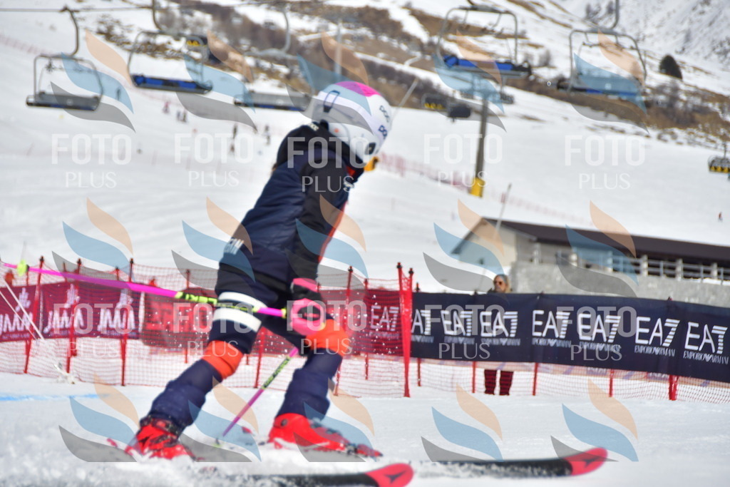 _DSC6643 | holidayphoto