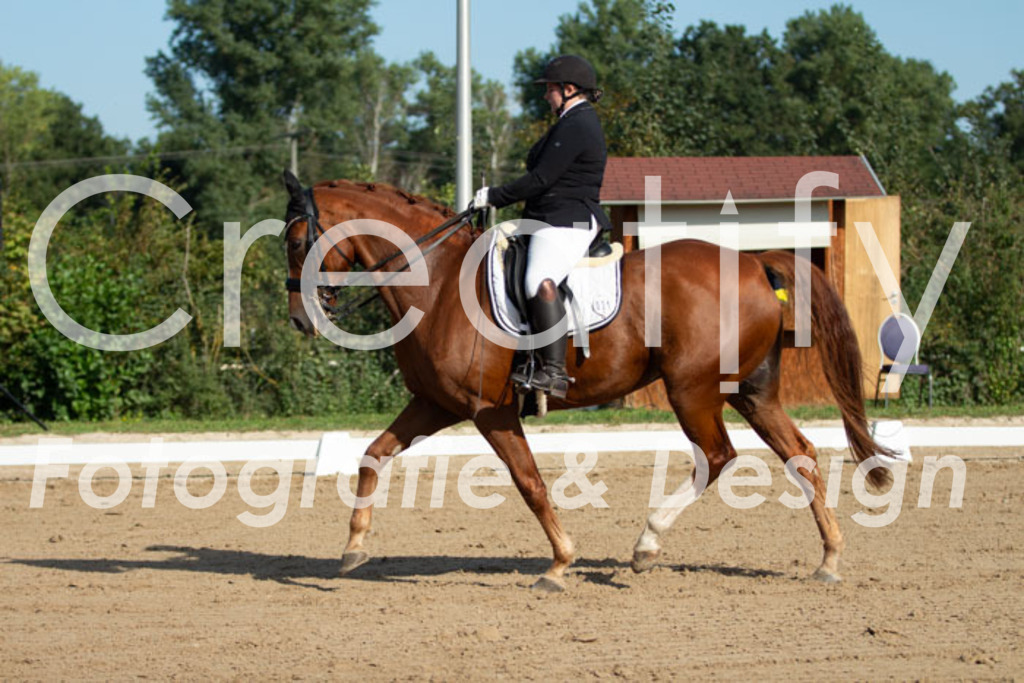 IMG_0473 | Creatify Fotografie