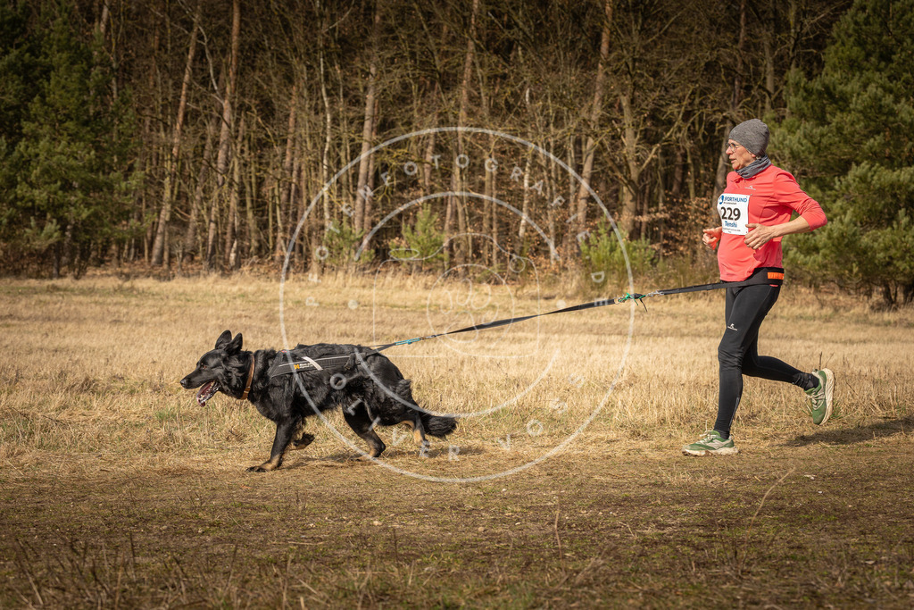 DV3A5495 | Hundefotografie, Tierfotograf, Pfotenfotografie, Fotoshooting Hund, Hunde Portrait, Hundesport, Hundeportraits, Heideshooting, Hunde, Sportfotograf, Hundefotograf, Turnierhundsport, THS,  - Realisiert mit Pictrs.com