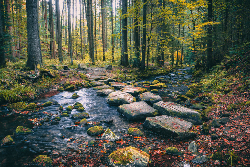 Am Ellbach | Der malerische Ellbach bei Baiersbronn im Nordschwarzwald - Realisiert mit Pictrs.com