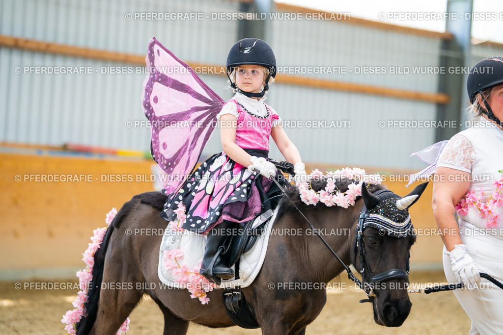 DSC09860 | Pferdegrafie