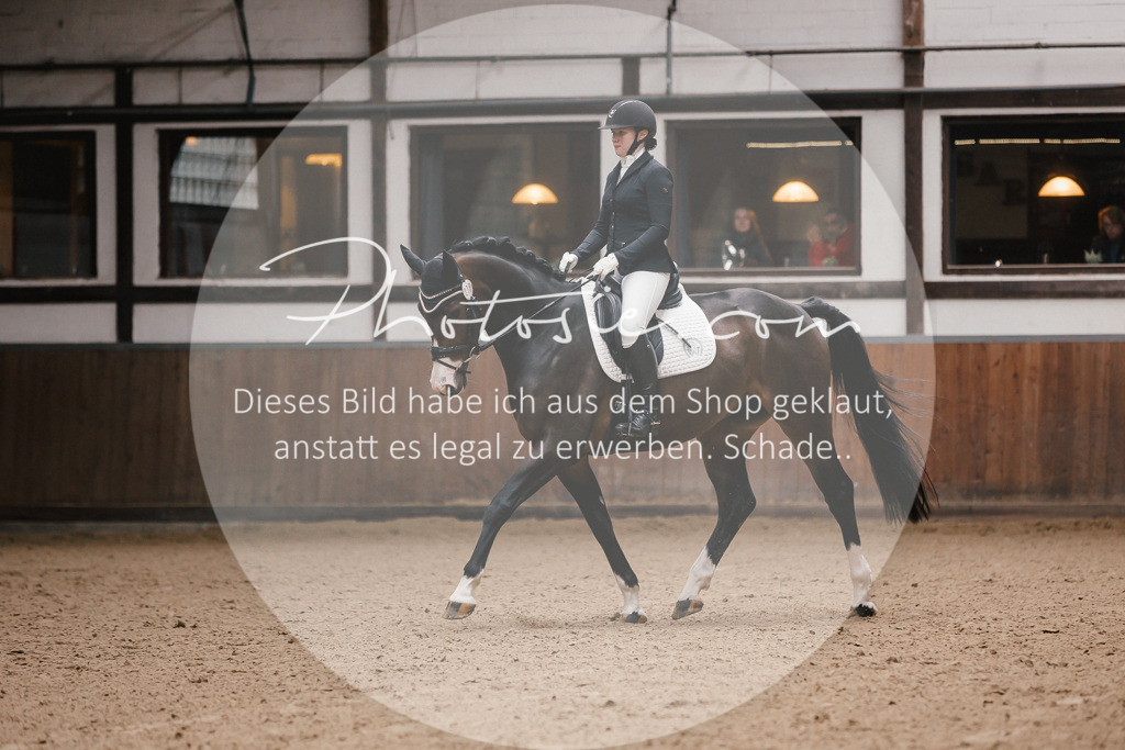 3I6A7180 | Stimmungsvolle Portraits und Reitsportfotografie im Ruhrgebiet und im Münsterland.

Pferdefotografie, Hundefotografie, Tierfotografie, Reportagen, Portraits von Tier und Mensch, Turnierfotografie in Bochum, Recklinghausen, Marl, Haltern am See, Dülmen.. - Realisiert mit Pictrs.com