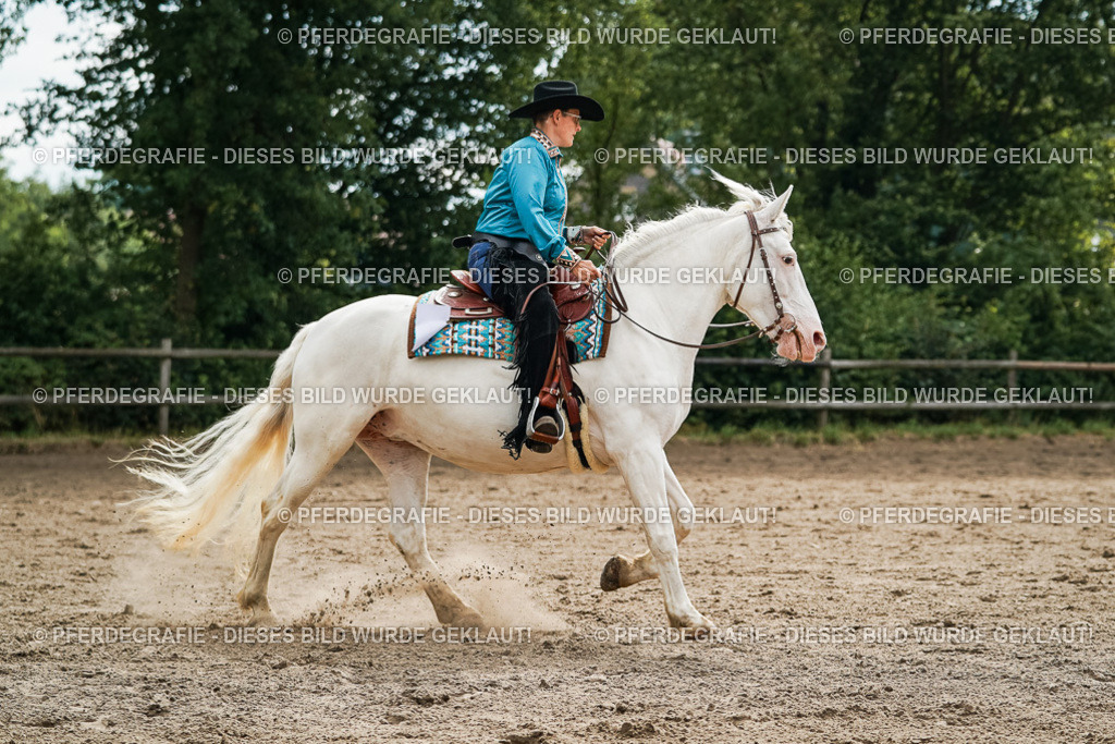 DSC03794 | Pferdegrafie