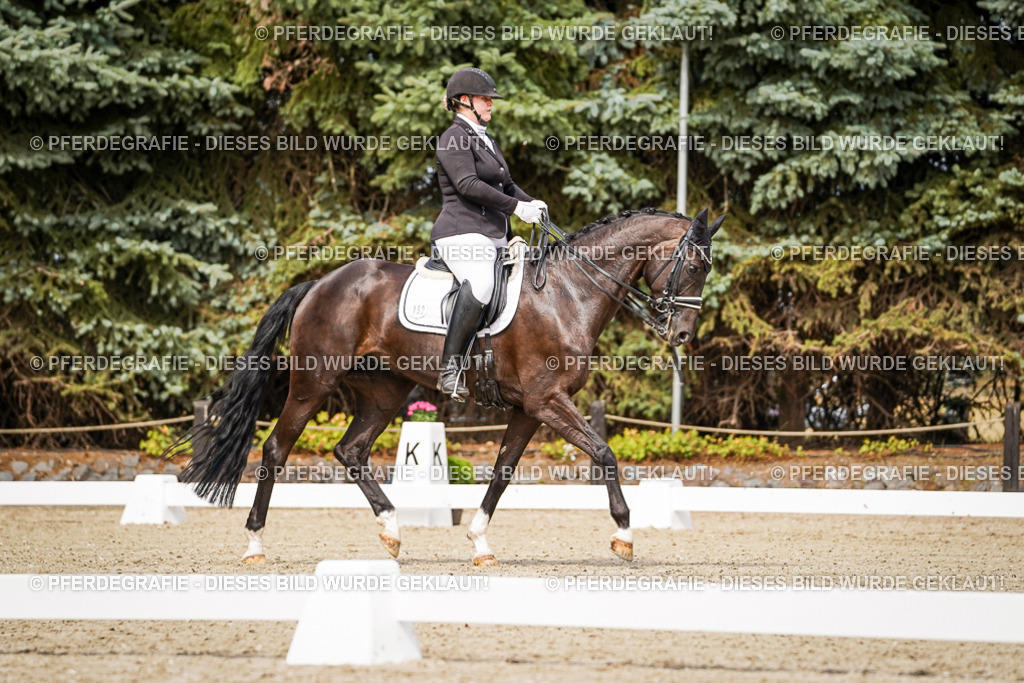 DSC05519 | Pferdegrafie