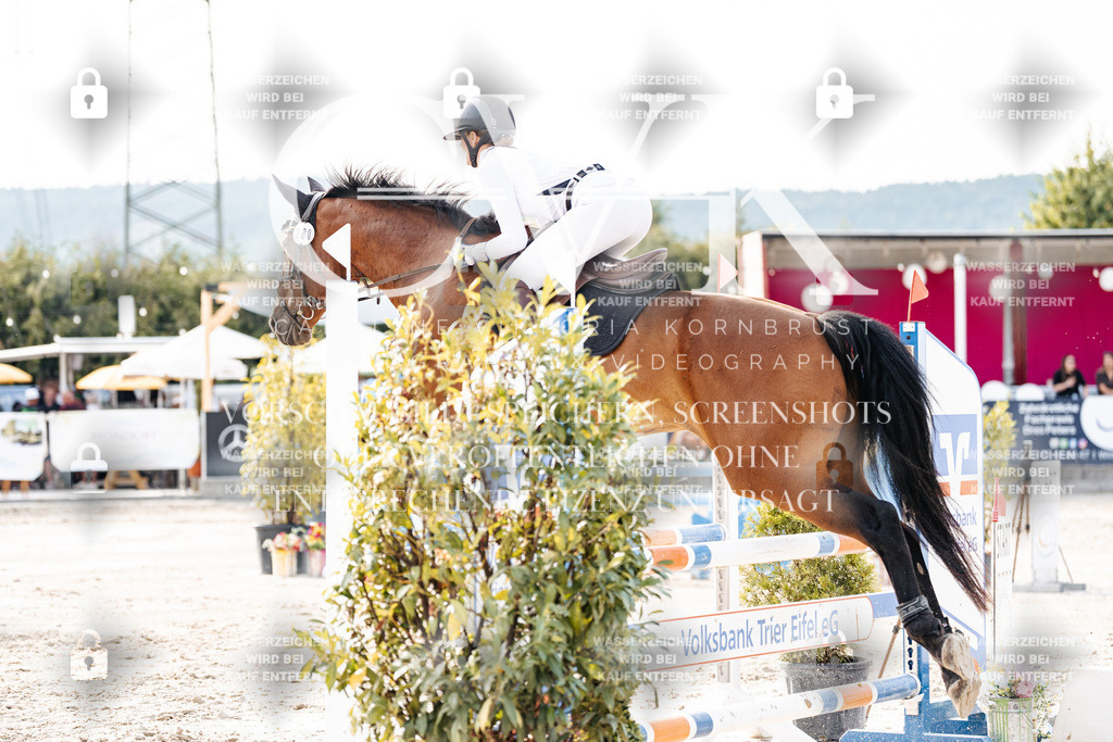 CK906658 | Turnierfotografie Pferdefotografie Trier Rheinland-Pfalz Pferdesport Reitsport Tierfotografie Sportfotografie Pferdevideo Pferdevideografie Equestrianvideography equestrianphotography  - Realisiert mit Pictrs.com