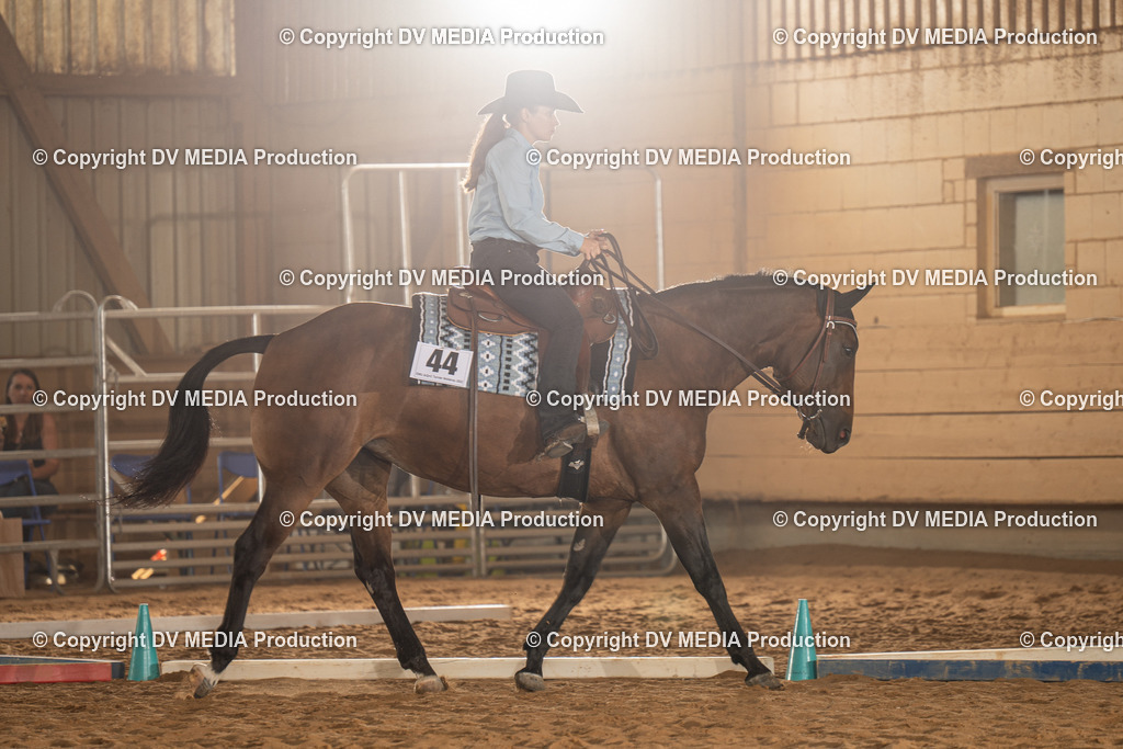 NID02527 | dv-media-shop - Realisiert mit Pictrs.com