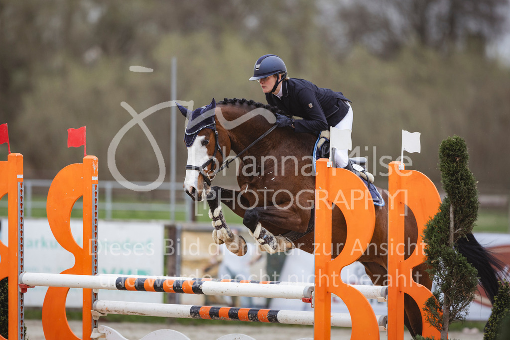 240330_Fruehlingsfest_Stil-A2-2-730 | Deine schönsten Turniermomente als professionelle Fotos! Entdecke hochwertige Pferdesport-Fotografie im Online-Shop. Jetzt Fotos finden & bestellen!