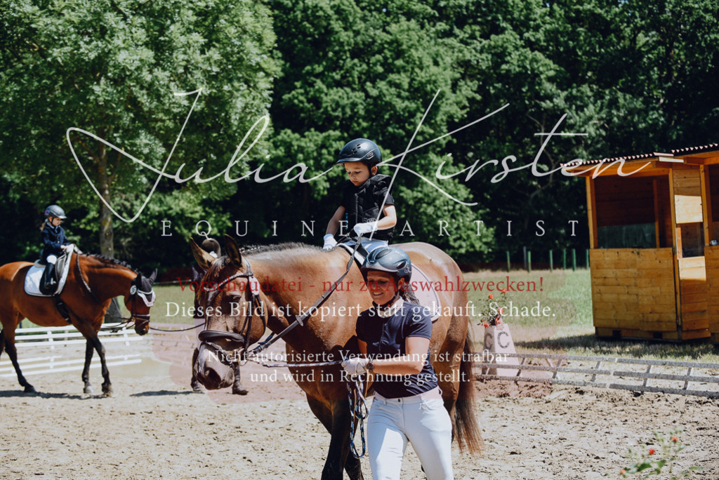 DSC_2638 | Pferde- und Turnierfotografie in Westsachsen. Pferdeportraits, Auftragszeichnungen und intuitive Kunst.
