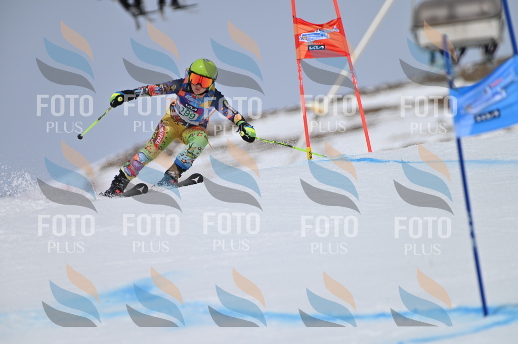 BGV_3823 | holidayphoto