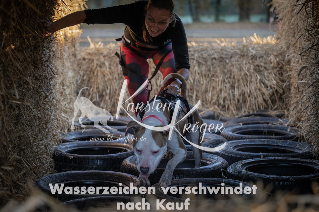 0932_ZZ93437 | kk-dogfotos