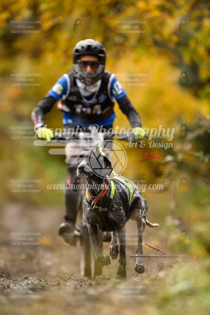 MompixPhotography_ICF_WC_2024_SA_Bike_-124 | PayLife