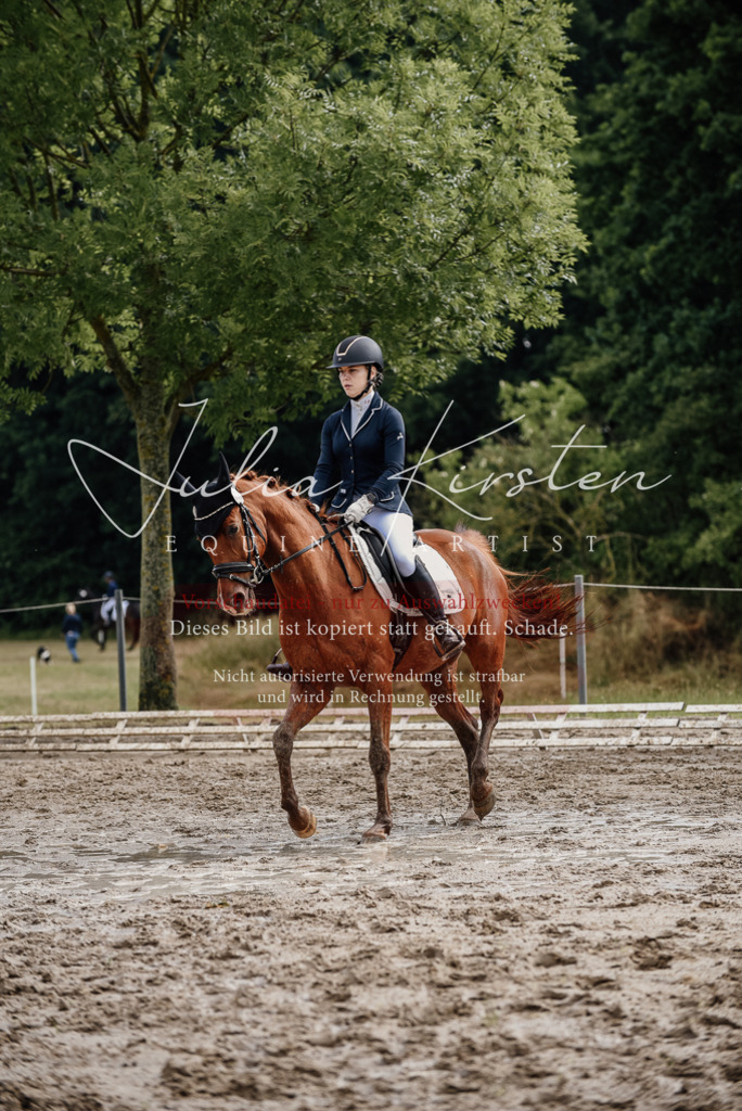 DSC_8971 | Pferde- und Turnierfotografie in Westsachsen. Pferdeportraits, Auftragszeichnungen und intuitive Kunst.