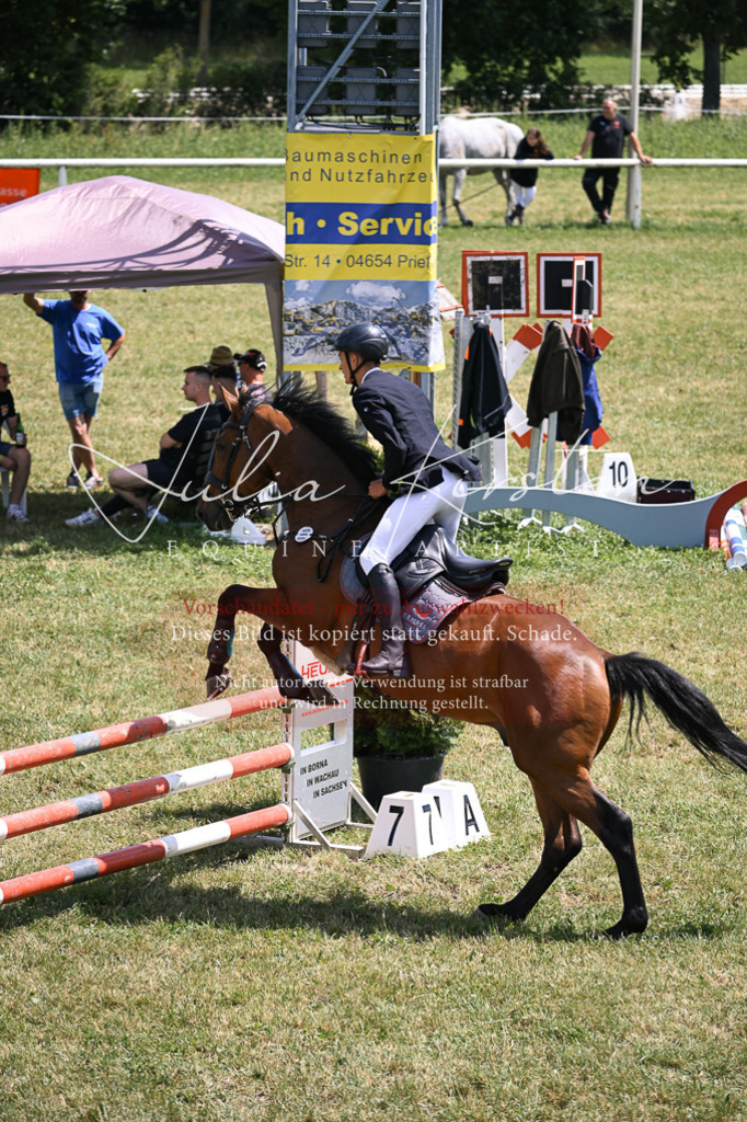 DSC_9613 | Pferde- und Turnierfotografie in Westsachsen. Pferdeportraits, Auftragszeichnungen und intuitive Kunst.