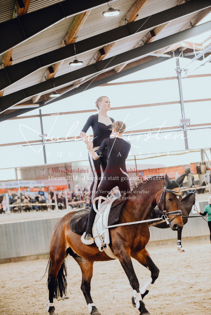 DSC_6917 | Pferde- und Turnierfotografie in Westsachsen. Pferdeportraits, Auftragszeichnungen und intuitive Kunst.