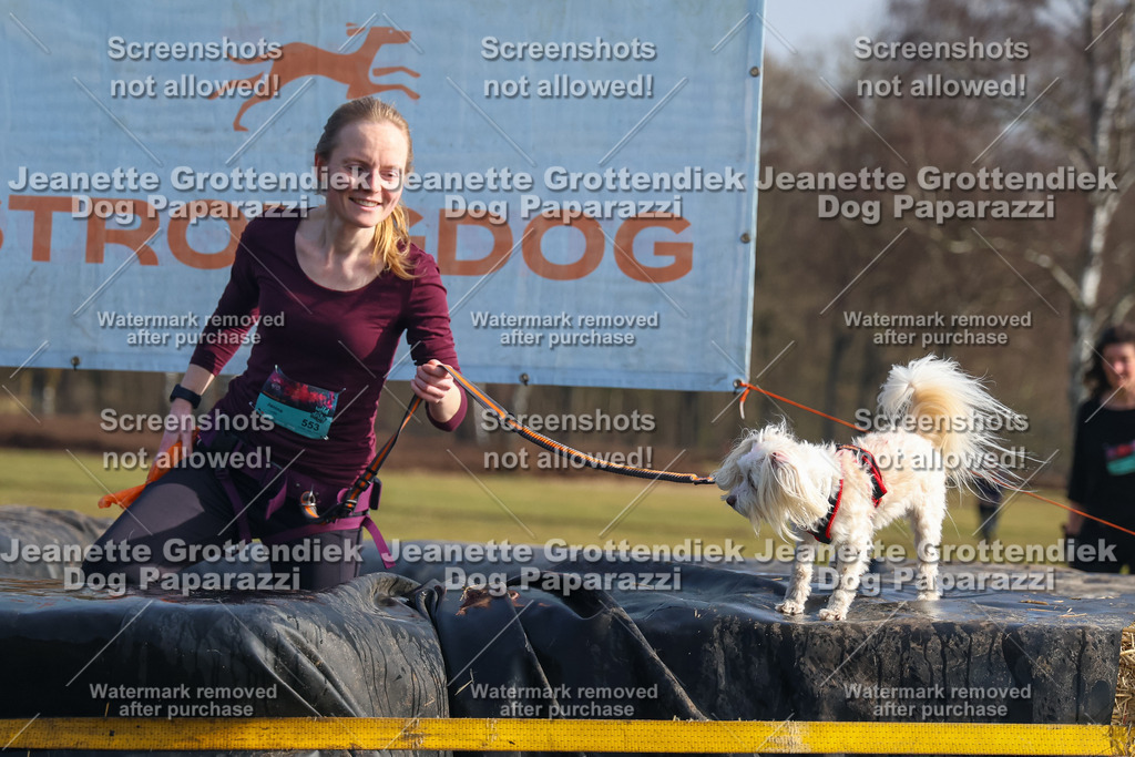 Dog Paparazzi - Strongdog North Mrz26-1936 | Dog Paparazzi Jeanette Grottendiek Fotografie & Videografie - Realisiert mit Pictrs.com
